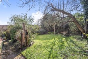 Garden in Summer- click for photo gallery